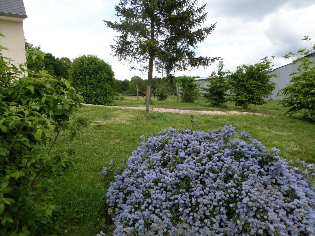 Bienvenue A L'Andruere Bed & Breakfast Cheillé Exterior foto